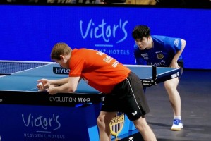 德甲版王者打新手村，樊振东26分钟横扫对手，豪格却觉得大意了