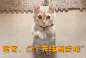 加盟德甲仅4月，28岁樊振东回归全运会，让人欣慰的一幕出现了