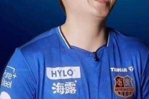 队友起外号！樊振东让小镇搜索量暴增10倍，在德甲官方海报C位