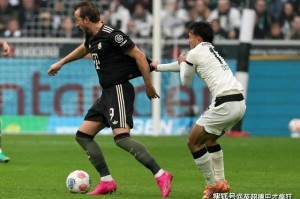 拜仁凯恩8轮德甲打进12球！挑战莱万41球纪录鼎之轻重似可问焉！